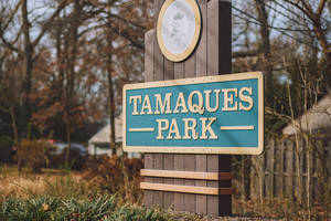 Carousel image 0506c8 amaques ark