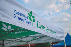 Carousel image 66706b783a0def5ec886 mini magick20240506 4097 10qvnm6