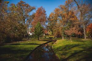 Carousel image aaa7fca7fd4320e95970 mini magick20241109 526446 i1h0il