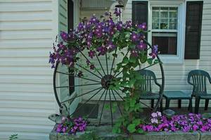 Carousel image 65827ba0691609e78b7d best crop ce57fa3fdc04c9abad90 best crop 2b42f7d7d2674ed82adc wheel trellis w clematis and impatiens photocredit melindamyers300