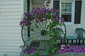 Carousel image ce57fa3fdc04c9abad90 best crop 2b42f7d7d2674ed82adc wheel trellis w clematis and impatiens photocredit melindamyers300