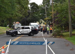 Carousel_image_229abb5cdbcc1891051c_mini_magick20200902-8433-1qtsm2q