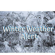 Carousel image 252fee31bc3306313d1a mini magick20260118 2351791 1y8t7af