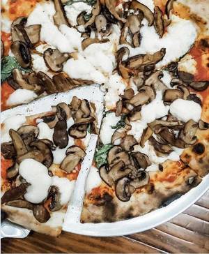 Carousel_image_262d54a0a7af7358b518_mini_magick20201024-102665-131f60h