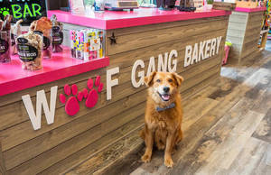 Carousel_image_2bd4458c6b3d32db19b2_mini_magick20200910-8173-1onboe3